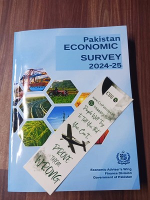 Pakistan Economic Survey 2024 - 2025 by Finance Division GoP