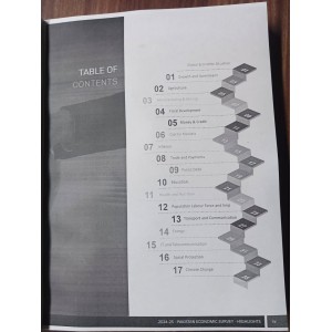 Pakistan Economic Survey 2024 - 2025 by Finance Division GoP