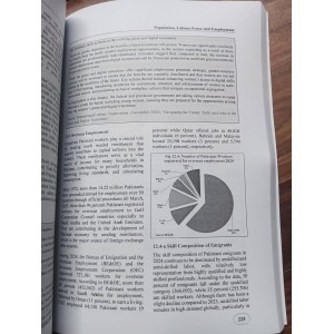 Pakistan Economic Survey 2024 - 2025 by Finance Division GoP