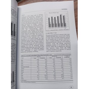 Pakistan Economic Survey 2024 - 2025 by Finance Division GoP