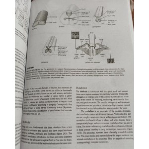 Zoology by Stephen A. Miller & Todd A. Tupper Latest 12th Edition