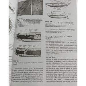 Zoology by Stephen A. Miller & Todd A. Tupper Latest 12th Edition