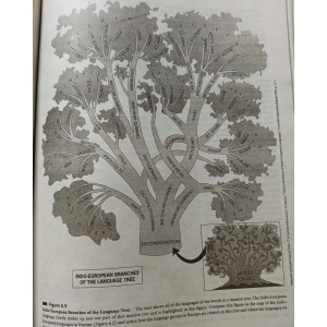 Human Geography: People, Place & Culture by De Blij 11th Edition 