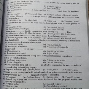 Inspector Customs / Intelligence Officer Guide by JWT