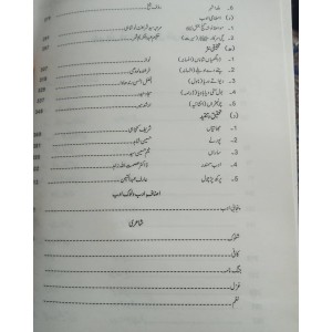 Punjab Rang Punjabi For CSS Objective + Subjective by Qamar Husnain Advanced Publishers - پنجاب رنگ پنجابی معروضی و موضوعی قمر حسنین ایڈوانسڈ