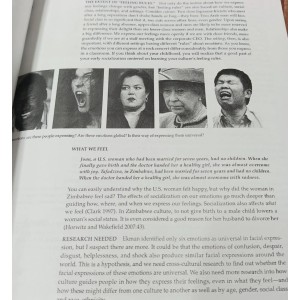 Sociology A Down To Earth Approach by James M. Henslin Shaharyar Publishers