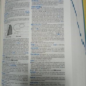 Oxford Advanced Learner's Dictionary 10th Edition
